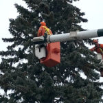 Hydro volunteers light up hospital's trees