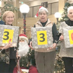 Wellings bazaar making spirits bright for County's new hospital