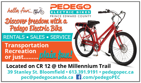 pedego for sale