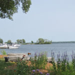 Environmental Advisory Committee to be revived in the County