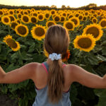 Sunflower walk supports County girl battling health issues