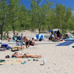 Expect sunshine and lineups