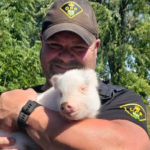 Piglet visits officers on RIDE duty in Wellington