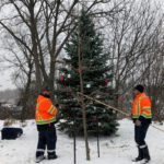 Cenotaph tree honours veterans at Christmas time