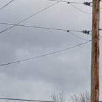 Electricity rate relief, and all provincial orders extended