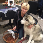 Donations help care for LHS cats at Christmas