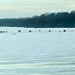 Body of man who fell through ice recovered from Bay of Quinte