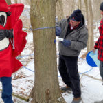 Maple in the County festival plans are a sweet promise of spring