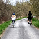 Concern expressed over destruction and restoration of Millennium Trail
