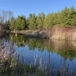 Key Prince Edward County wetland protected