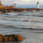 Elevated E.coli at Outlet, Lakeshore and Wellington beaches