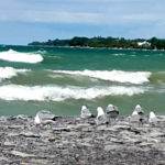 Wellington councillor seeks changes to boat launch bylaw; waterfront alternatives