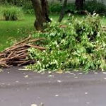 County dump sites could see composting; free mulch as part of bid to divert organics from waste