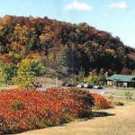 Macaulay Mountain among conservation areas facing influx of vandalism