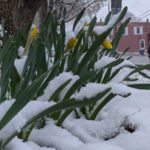 Say it ain't snow, late April