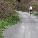 Millennium trail closure/detour in Wellington as water/sewer pipe construction begins