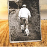 Newest book from County's favourite naturalist shares memories of 'Growing Up Big Island'