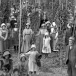 Archives of Ontario releases turn-of-the-century memories of Prince Edward County