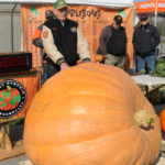 Sun breaks through for a 'gourd' time at Wellington Pumpkinfest