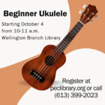 Learn to play the ukelele at Wellington library
