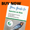 Learn about species at risk on the County's south shore with new guide - perfect stocking stuffer