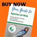 Learn about species at risk on the County's south shore