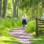 Alzheimer walk raises funds to serve local needs