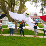 Giant birds take flight on Picton Main to announce spring festival