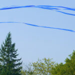 Breezy Hillier Park Day brings great kite flying fun