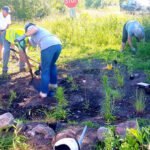 Help plant a pollinator garden Monday (no experience necessary)