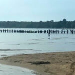 Missing six-year-old at Sandbanks found following impressive community chain of help