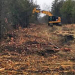 Tree planting plans for areas destroyed by wind turbine preparations