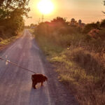 Earth Day a good day to sign up for Millennium Trail celebration