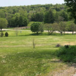 Delhi pathways plan to better connect 'heart of Picton'