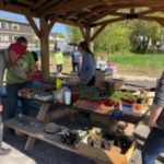 Garden-in-a-box giveaway helps beginners to grow their own food