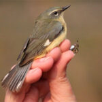 Significant donation comes from desire to help protect birds