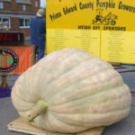 A 'gourd' time as Pumpkinfest weighs-in with family fun