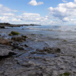 Family donates 24 hectares on County's south shore for conservation