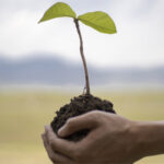 Free composters and tree saplings as Earth Day events wrap up this weekend