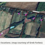 Waring's Creek water quality study amid impending development