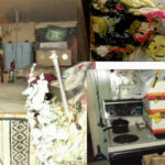 PEC hoarding response team highlights severity and dangers