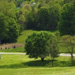 Delhi and Marsh Creek one of five funded Canadian projects for Bioblitz