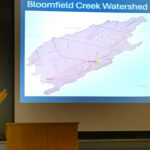 High levels of phosphates in Bloomfield’s Mill Pond Park