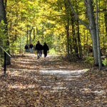 One mayoral among 23 candidates who responded to questions from nature groups
